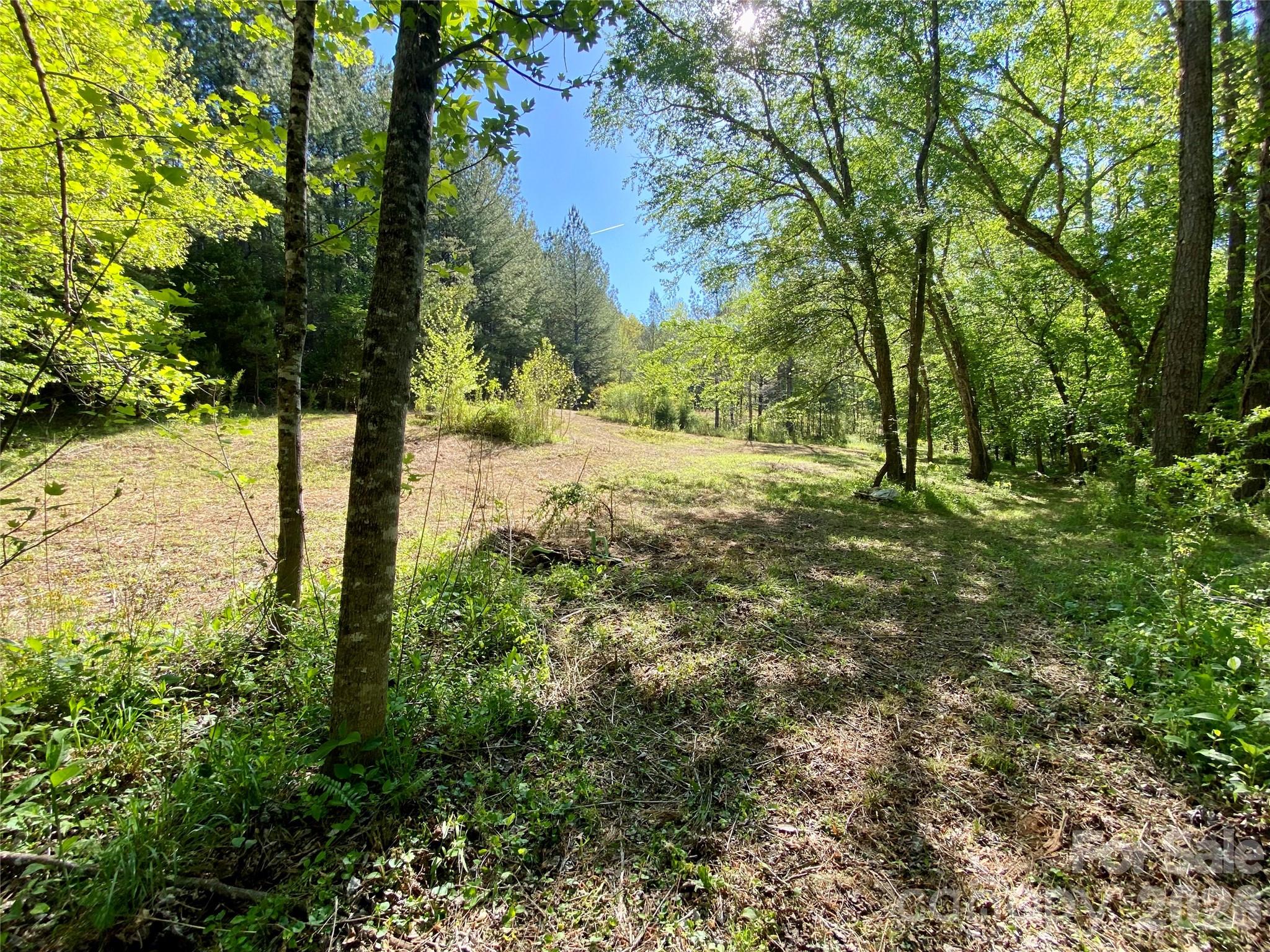 0 Walking Horse Trail Rutherfordton NC 28139