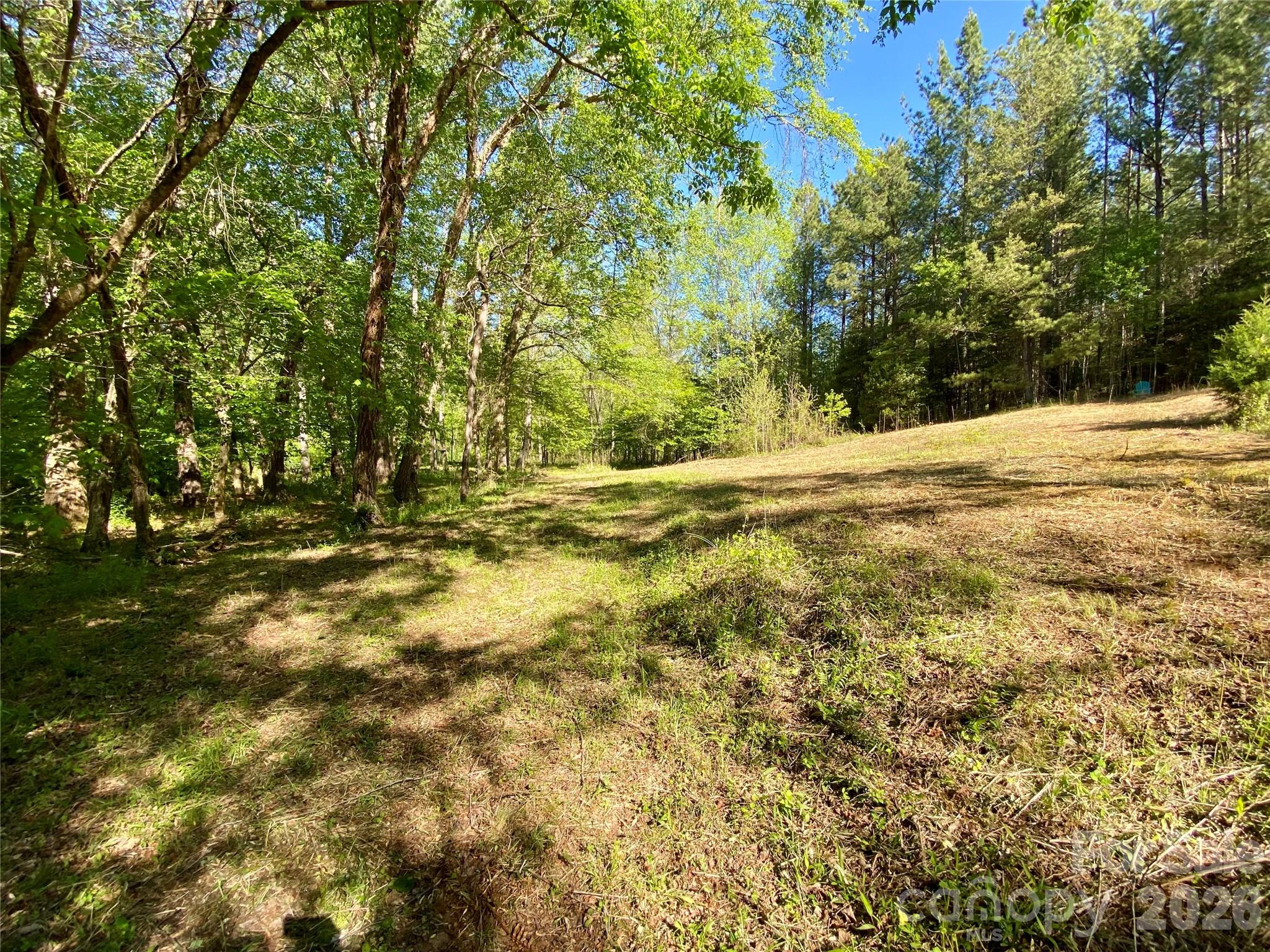 0 Walking Horse Trail Rutherfordton NC 28139