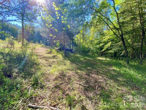 0 Walking Horse Trail Rutherfordton NC 28139