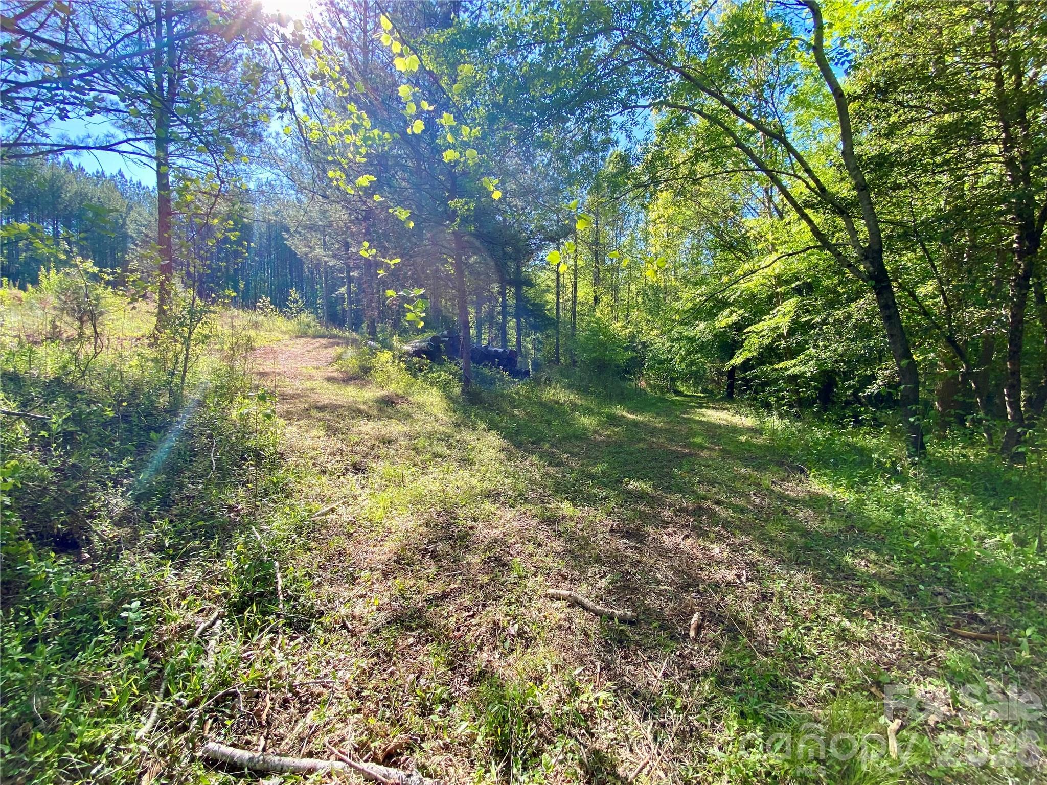 0 Walking Horse Trail Rutherfordton NC 28139