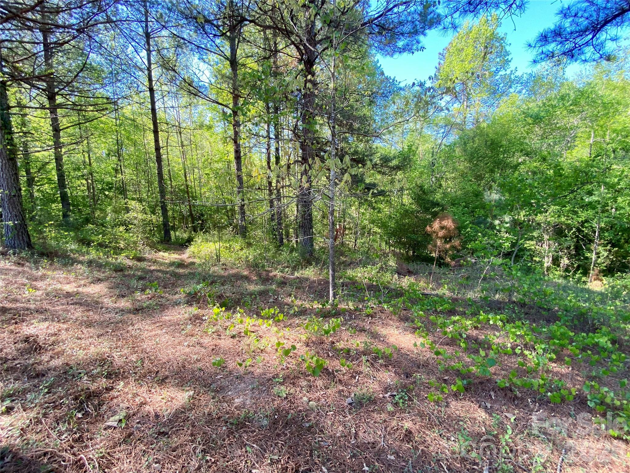 0 Walking Horse Trail Rutherfordton NC 28139