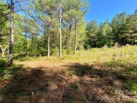 0 Walking Horse Trail Rutherfordton NC 28139