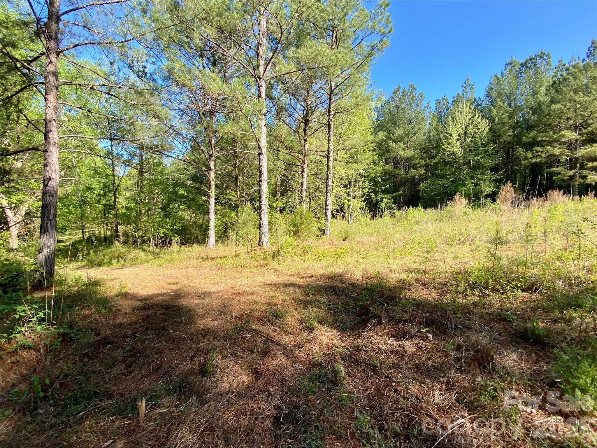 0 Walking Horse Trail Rutherfordton NC 28139