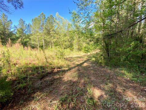 0 Walking Horse Trail Rutherfordton NC 28139