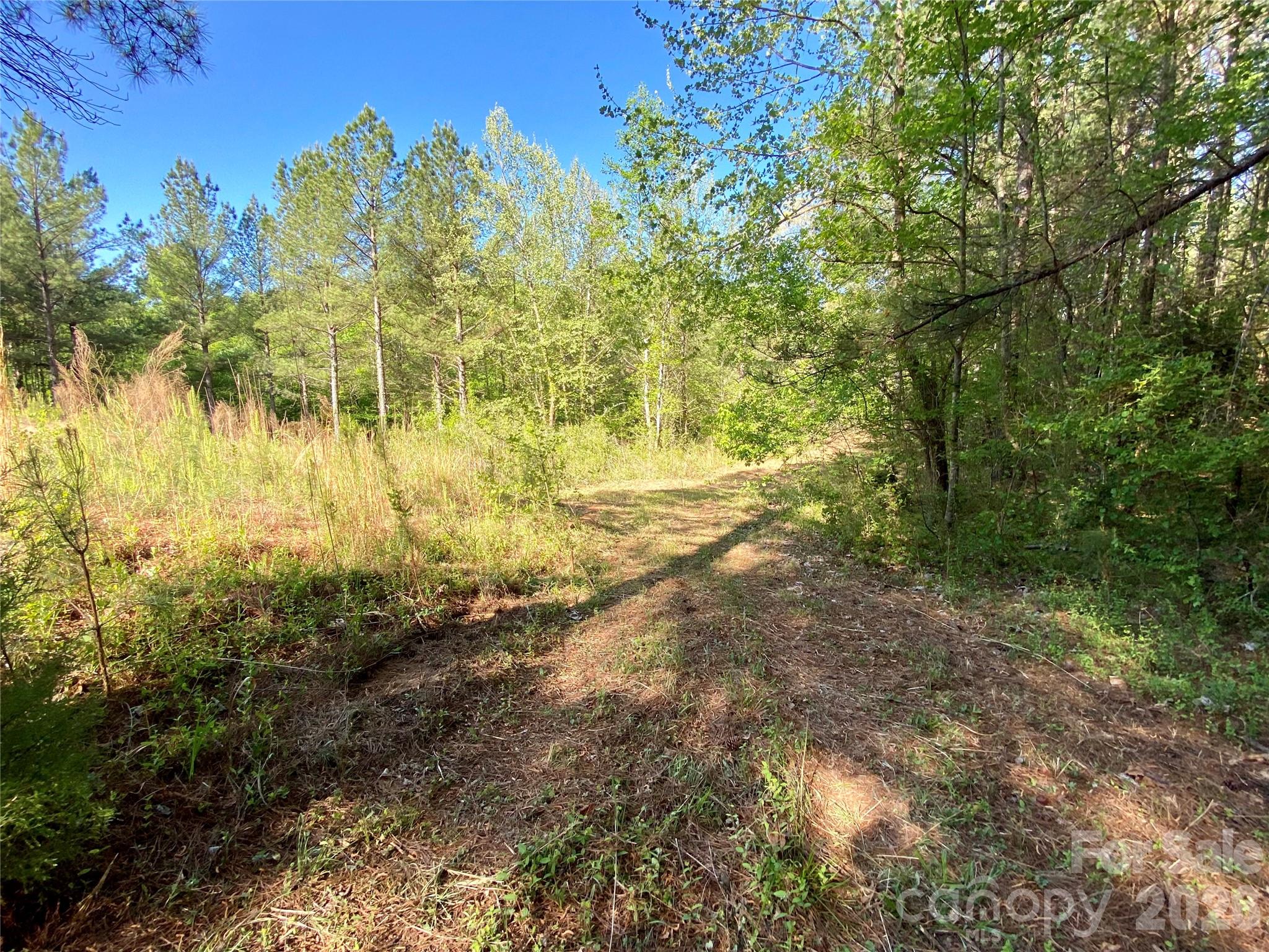 0 Walking Horse Trail Rutherfordton NC 28139