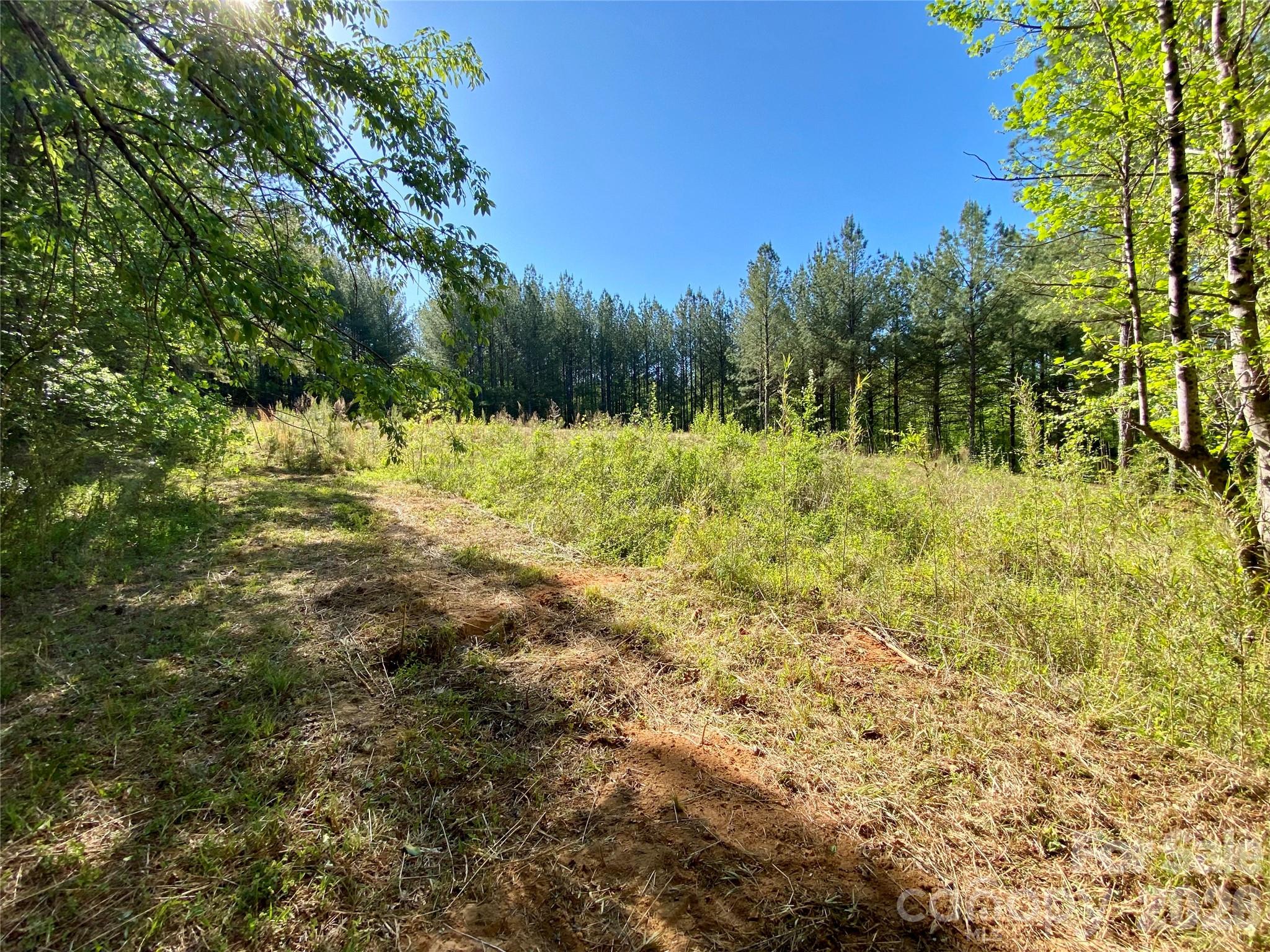 0 Walking Horse Trail Rutherfordton NC 28139
