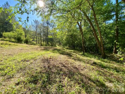 0 Walking Horse Trail Rutherfordton NC 28139