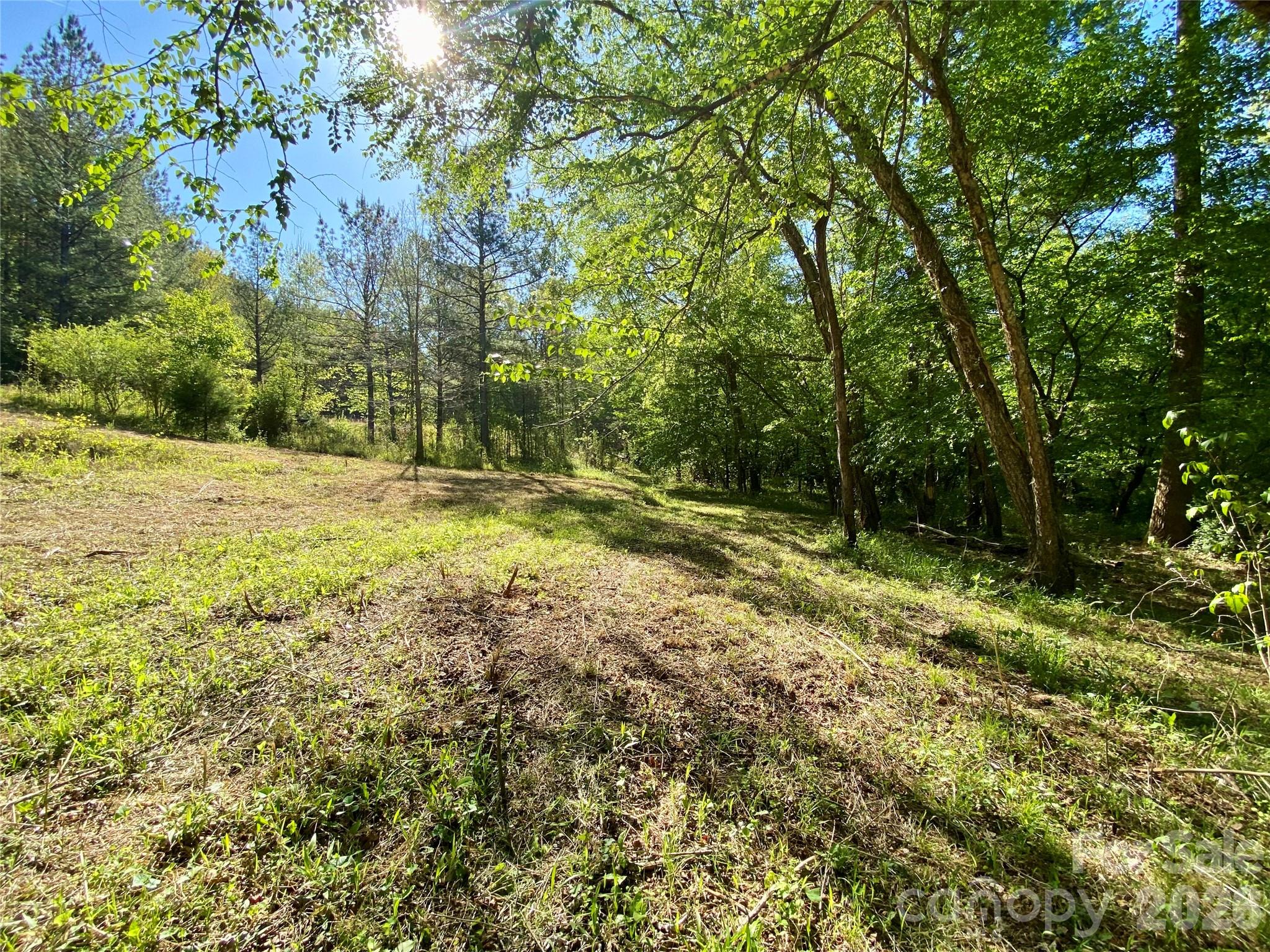 0 Walking Horse Trail Rutherfordton NC 28139