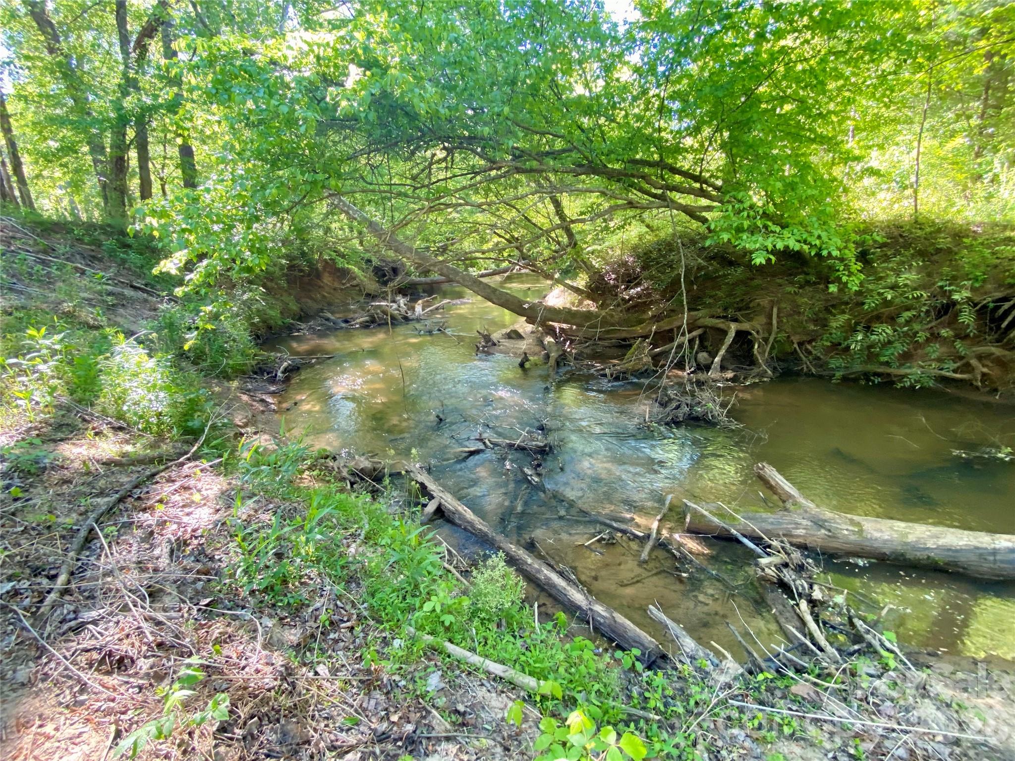 0 Walking Horse Trail Rutherfordton NC 28139