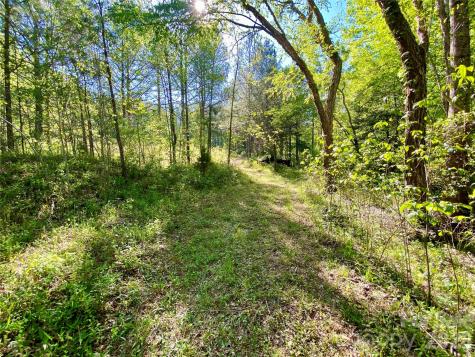 0 Walking Horse Trail Rutherfordton NC 28139