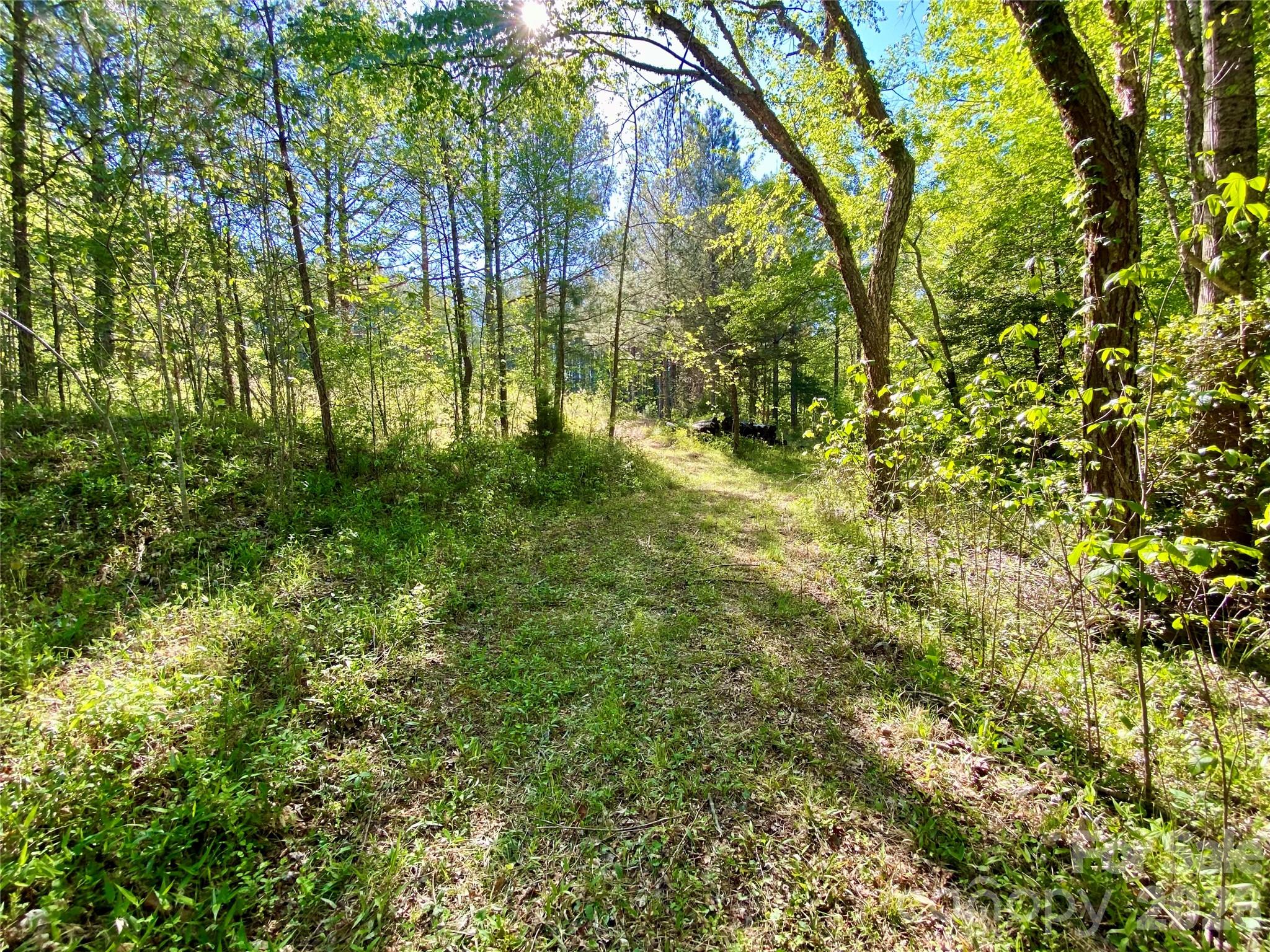 0 Walking Horse Trail Rutherfordton NC 28139