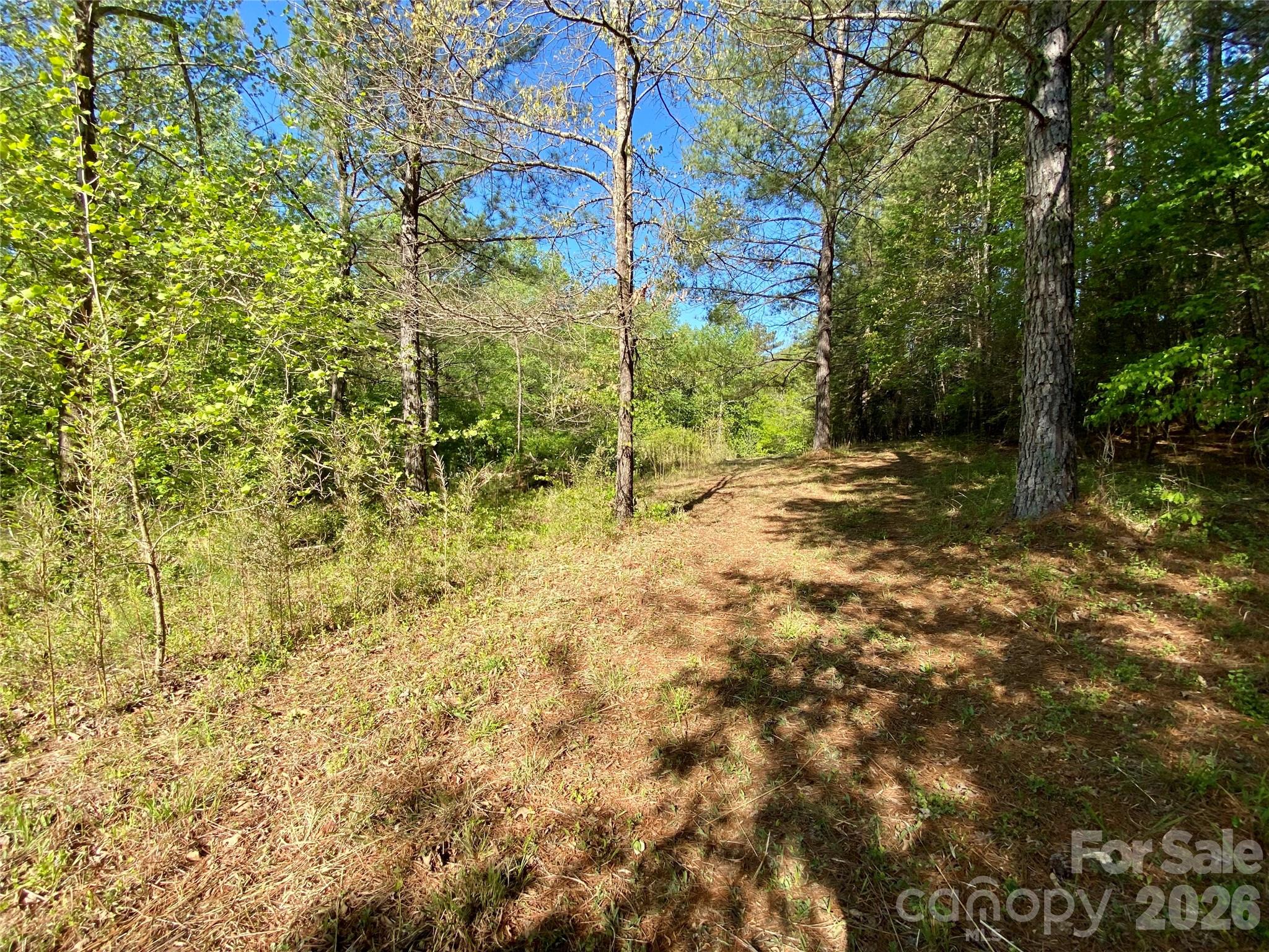 0 Walking Horse Trail Rutherfordton NC 28139