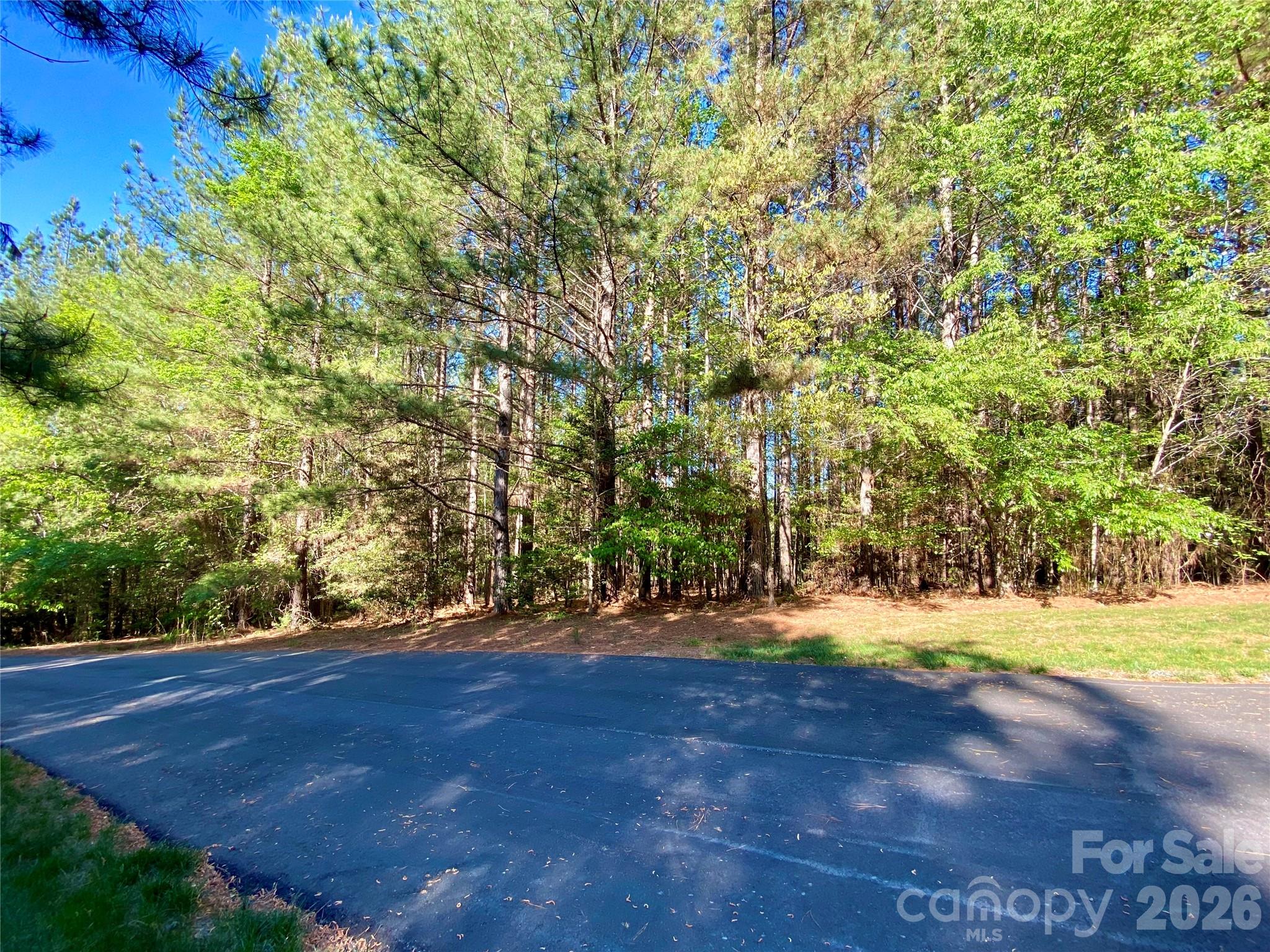 0 Walking Horse Trail Rutherfordton NC 28139