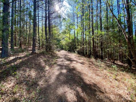 0 Walking Horse Trail Rutherfordton NC 28139