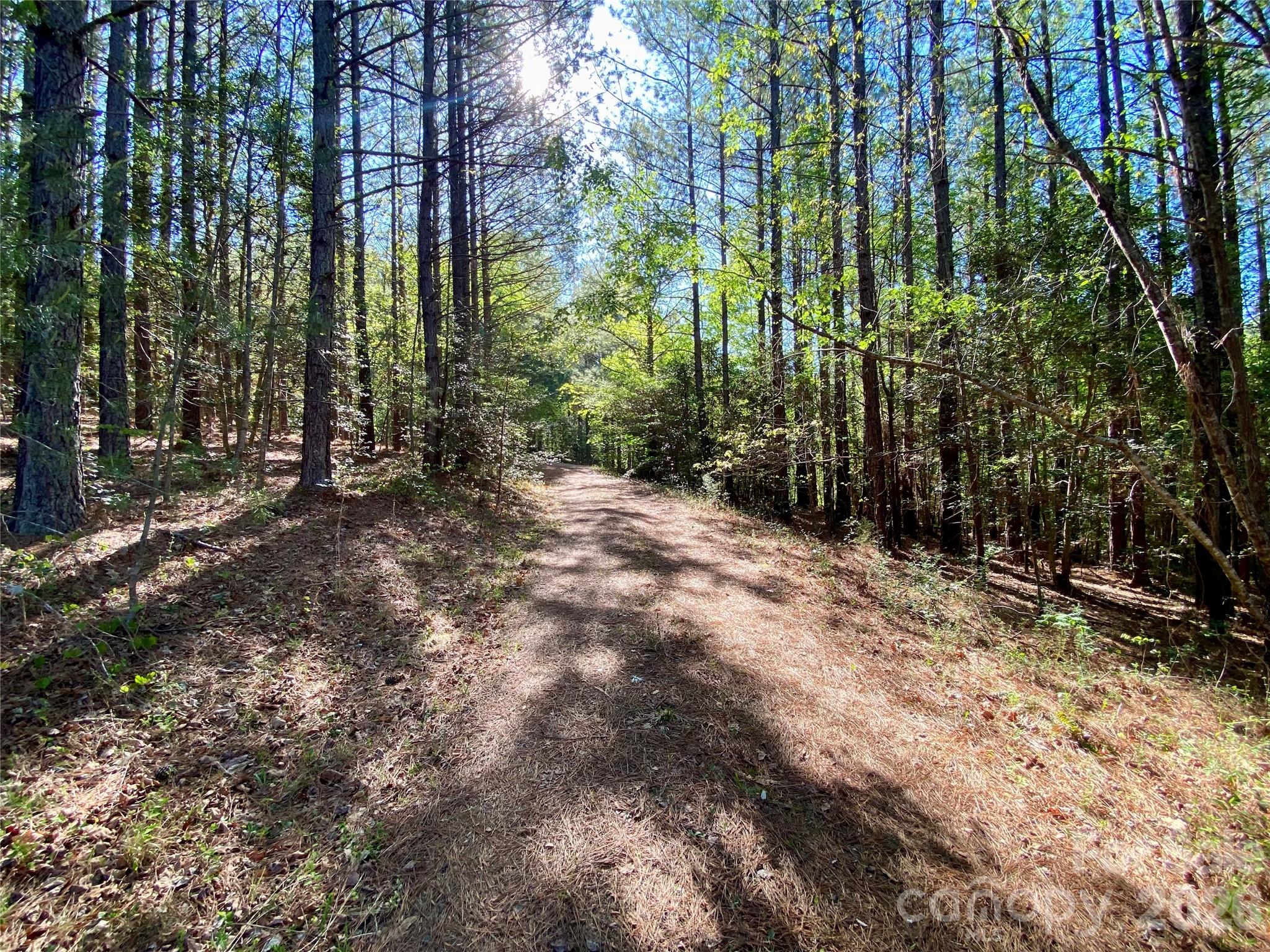0 Walking Horse Trail Rutherfordton NC 28139