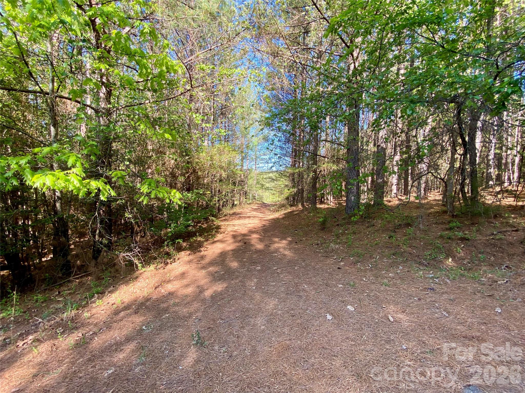 0 Walking Horse Trail Rutherfordton NC 28139