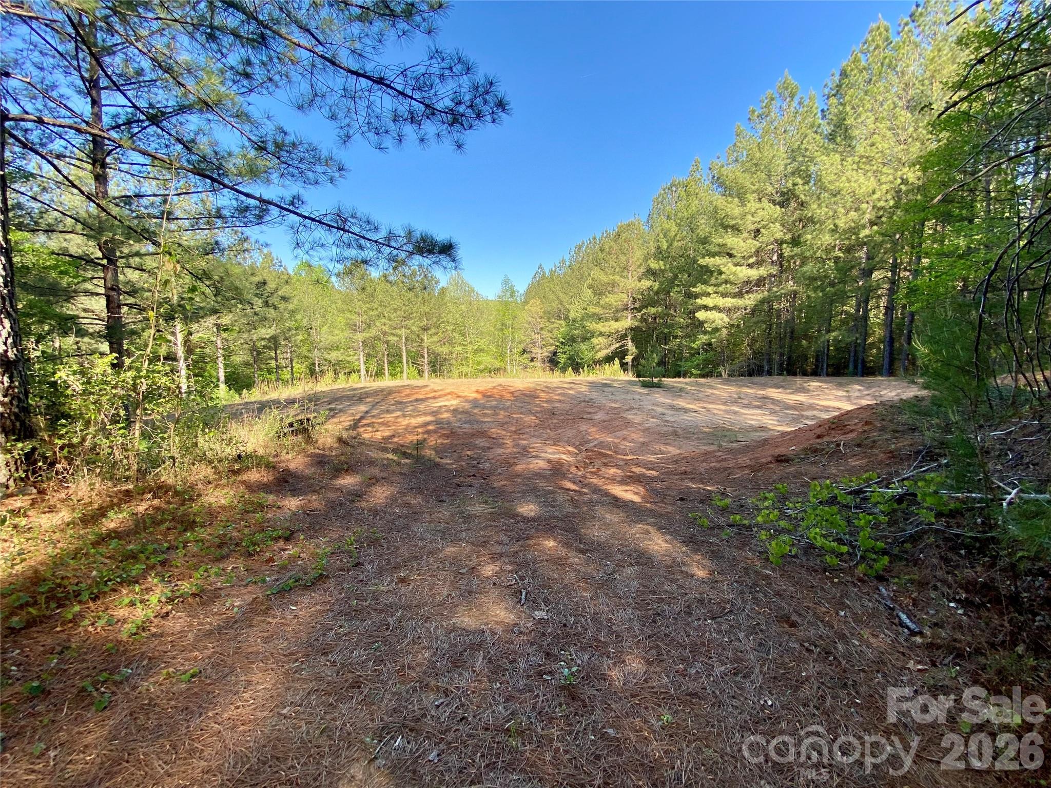 0 Walking Horse Trail Rutherfordton NC 28139