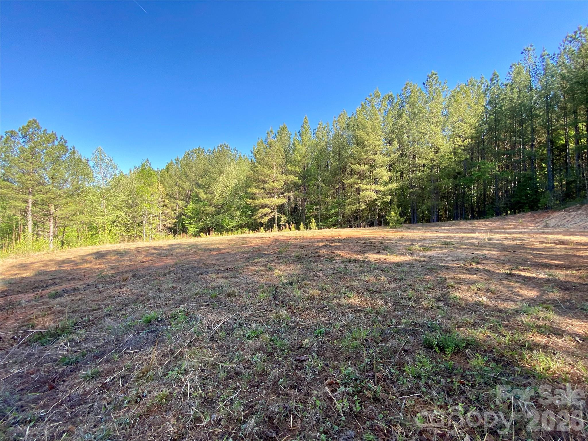 0 Walking Horse Trail Rutherfordton NC 28139