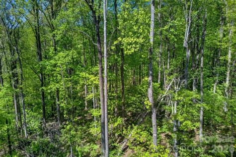 7 Gateway Parkway Old Fort NC 28762
