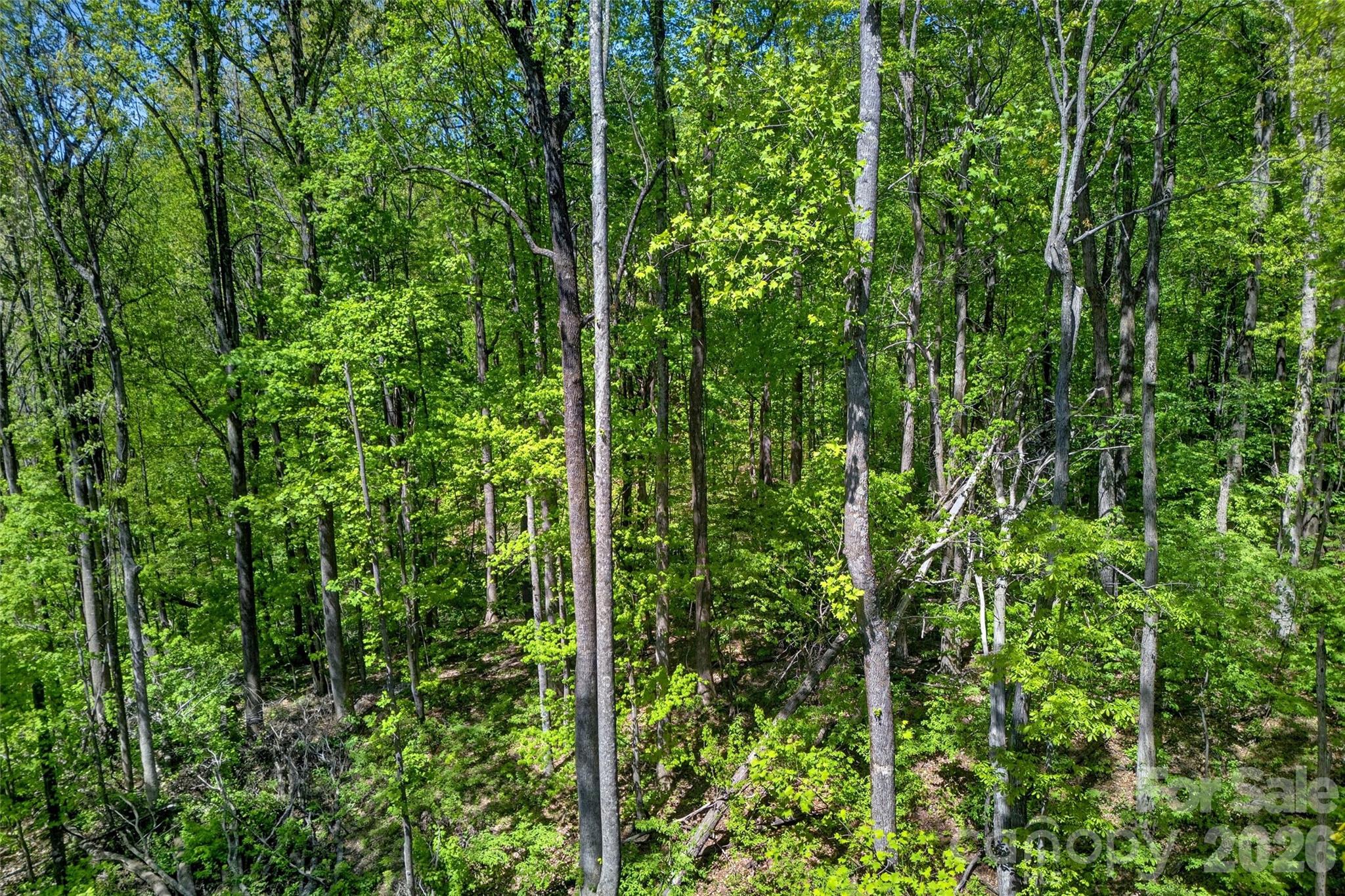 7 Gateway Parkway Old Fort NC 28762