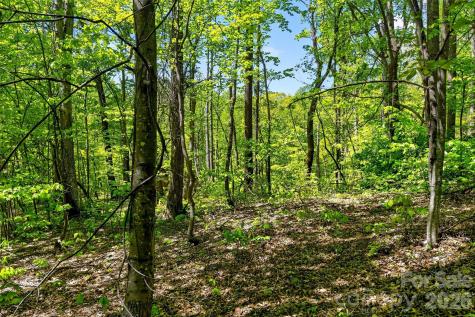 7 Gateway Parkway Old Fort NC 28762