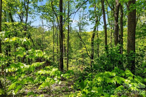7 Gateway Parkway Old Fort NC 28762