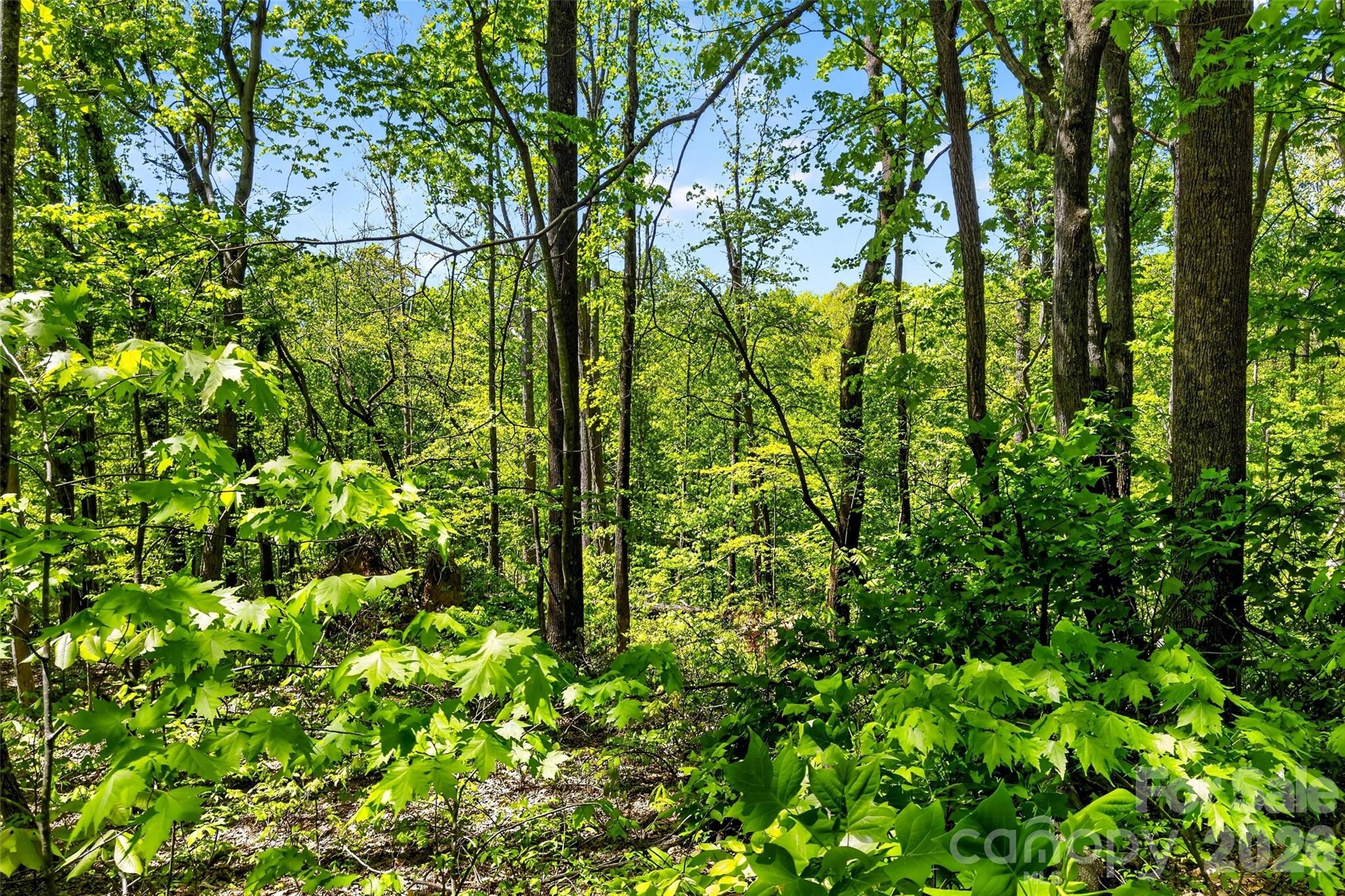 7 Gateway Parkway Old Fort NC 28762