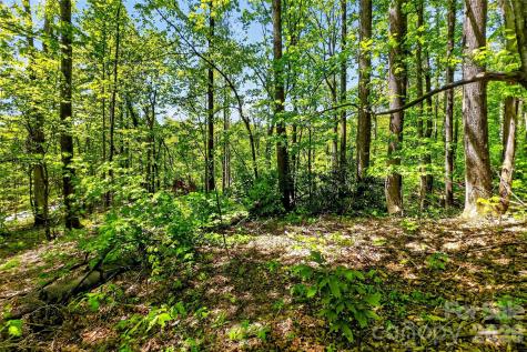 7 Gateway Parkway Old Fort NC 28762