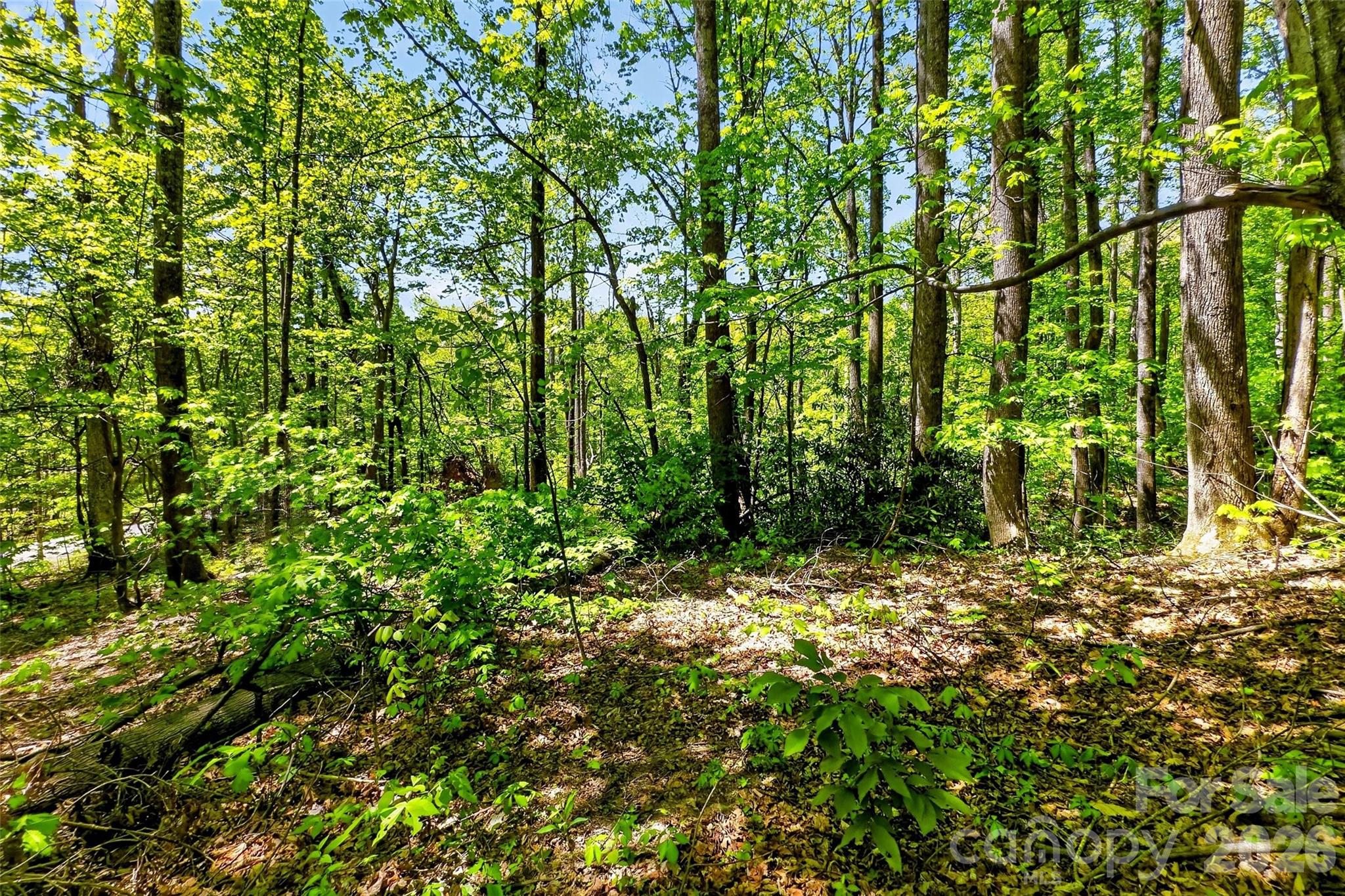 7 Gateway Parkway Old Fort NC 28762
