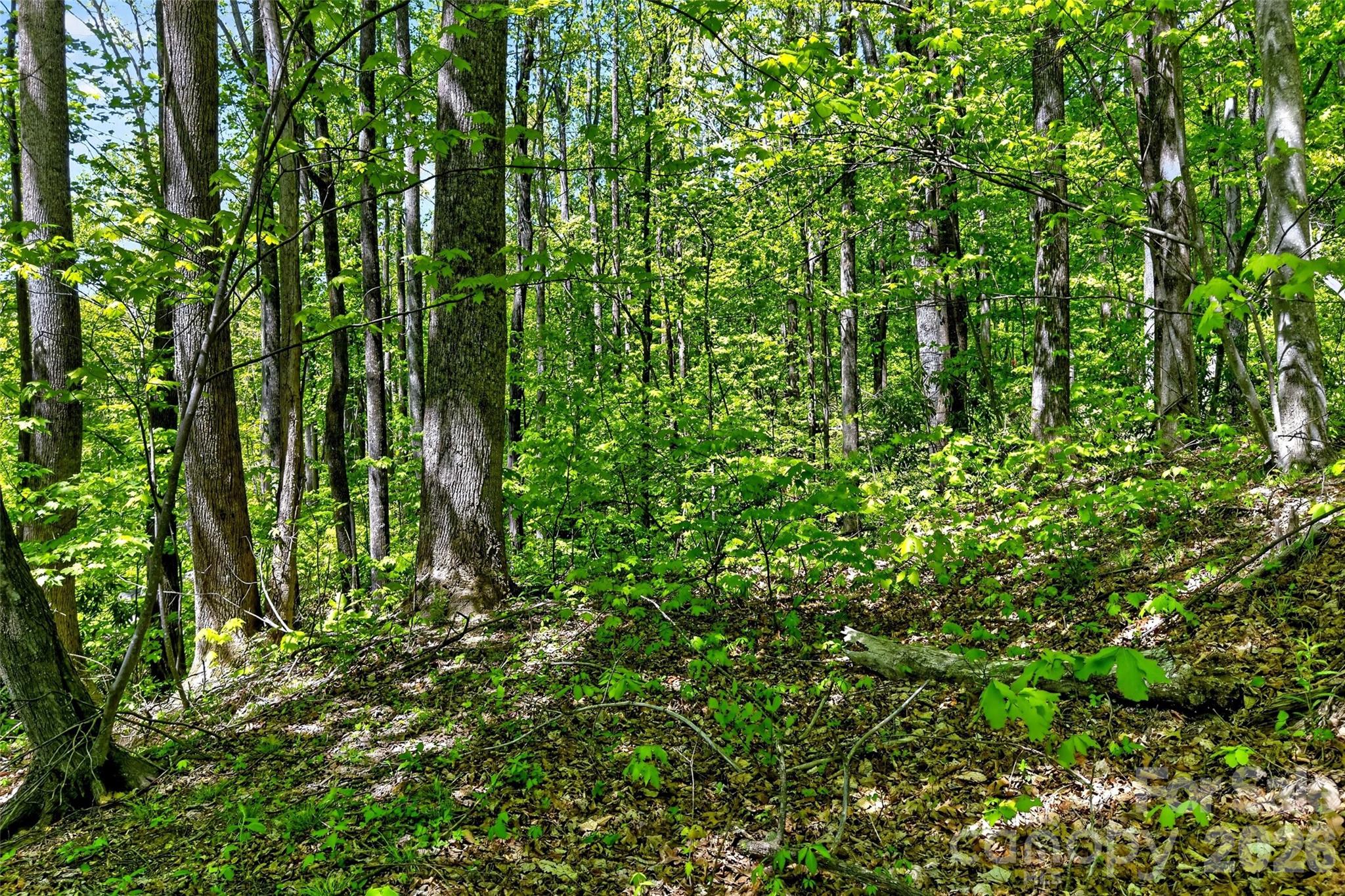 7 Gateway Parkway Old Fort NC 28762