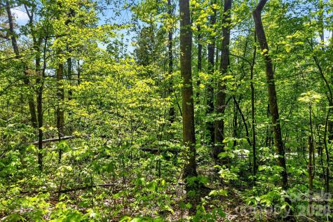 7 Gateway Parkway Old Fort NC 28762