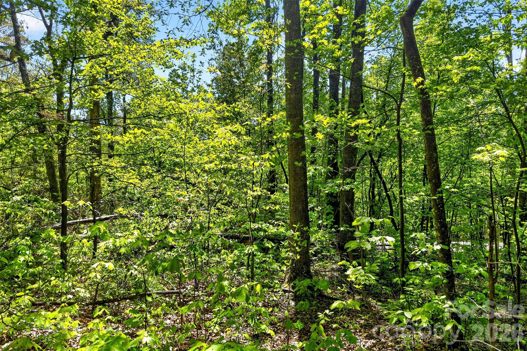 7 Gateway Parkway Old Fort NC 28762