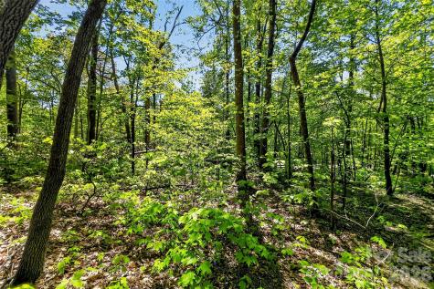 7 Gateway Parkway Old Fort NC 28762