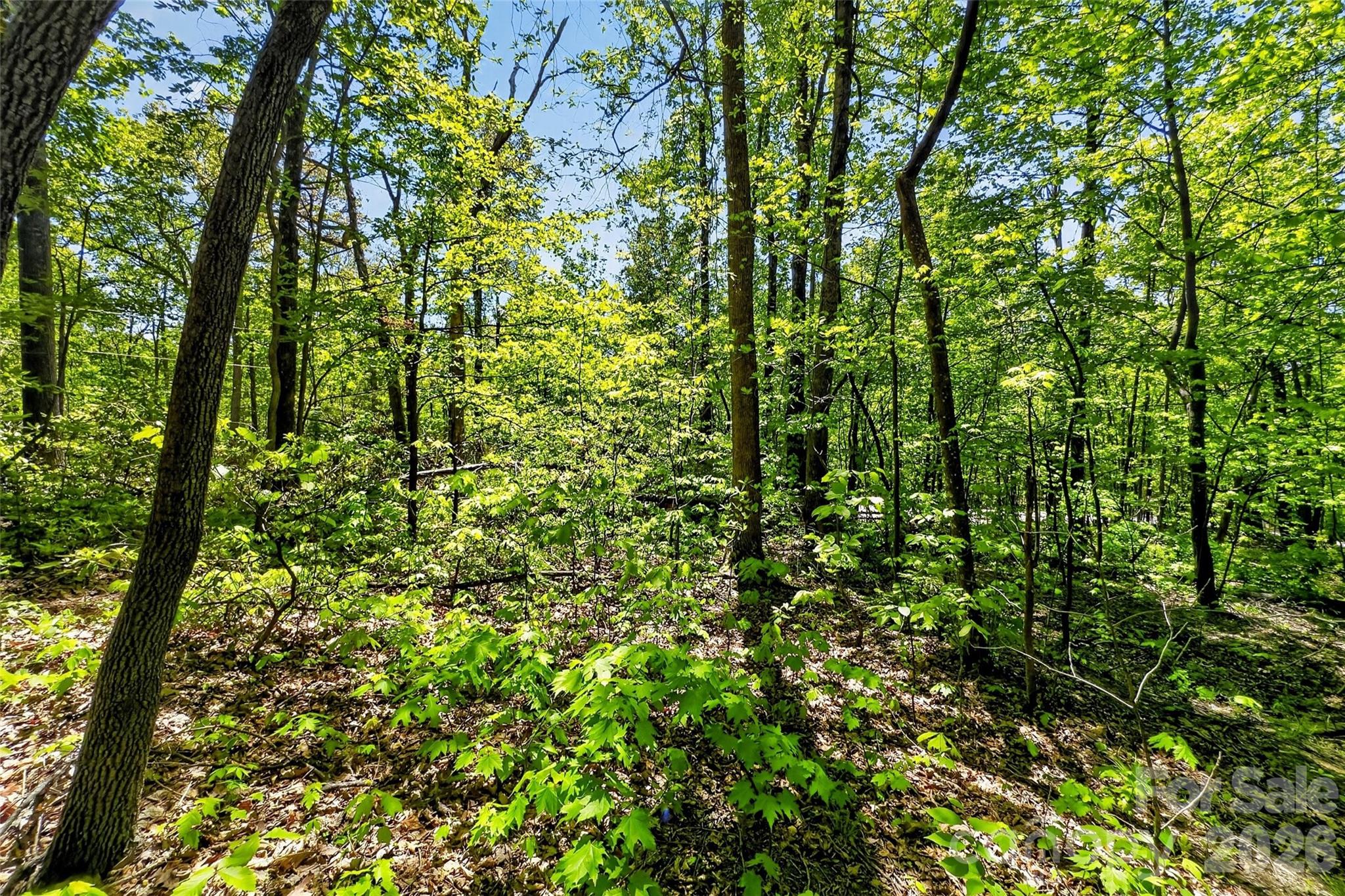 7 Gateway Parkway Old Fort NC 28762