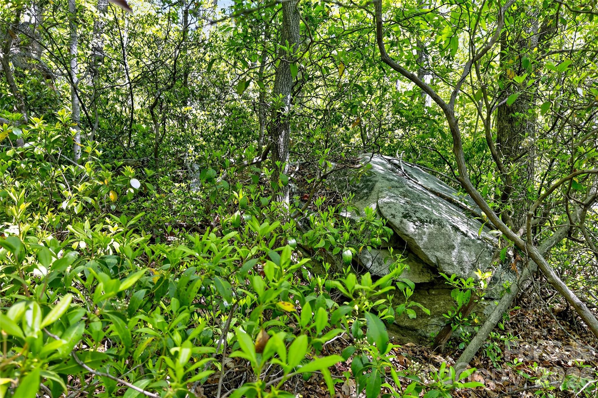 7 Gateway Parkway Old Fort NC 28762