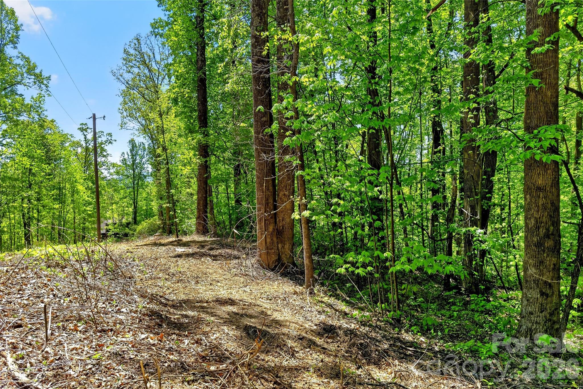7 Gateway Parkway Old Fort NC 28762