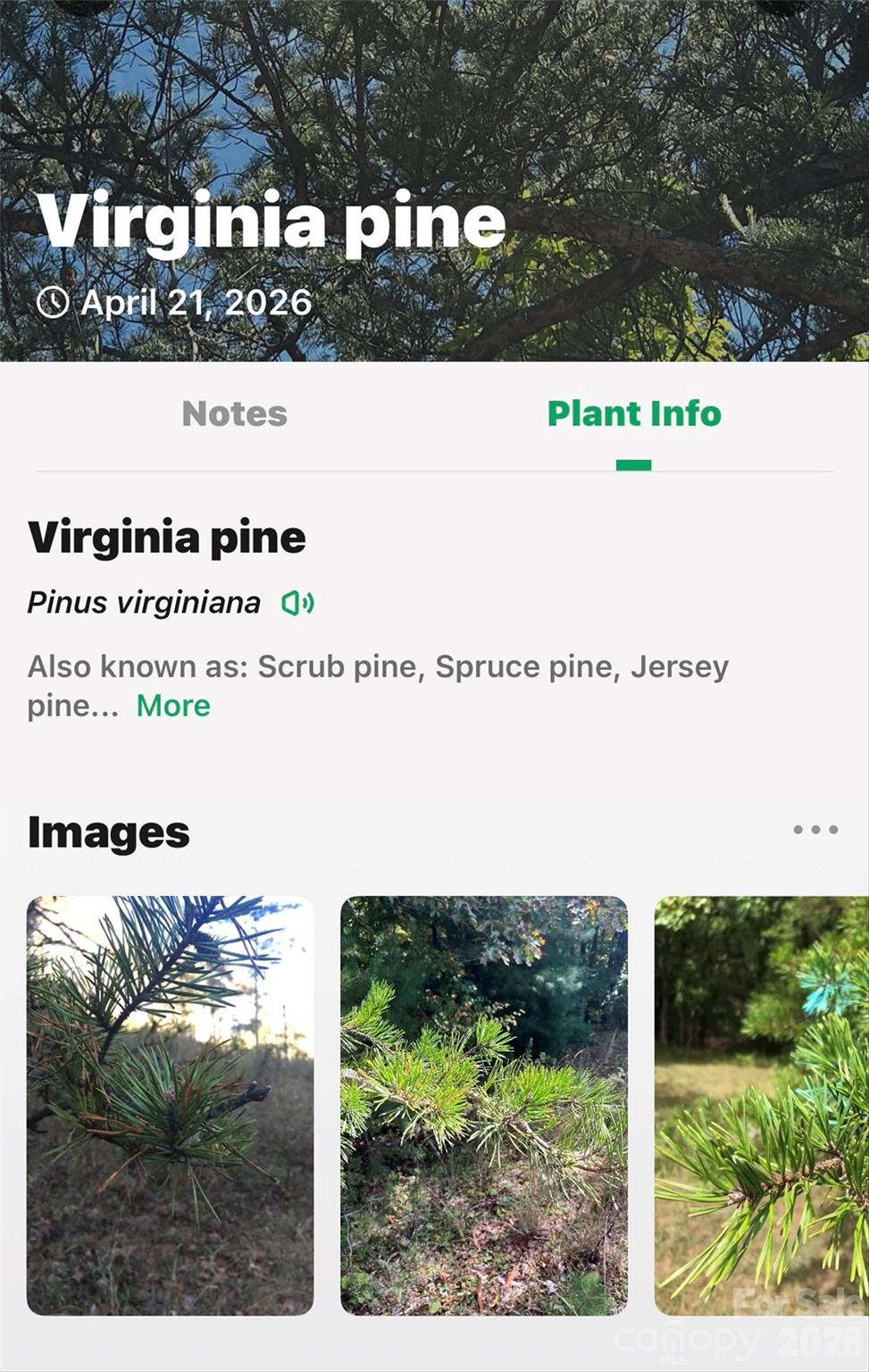 7 Gateway Parkway Old Fort NC 28762