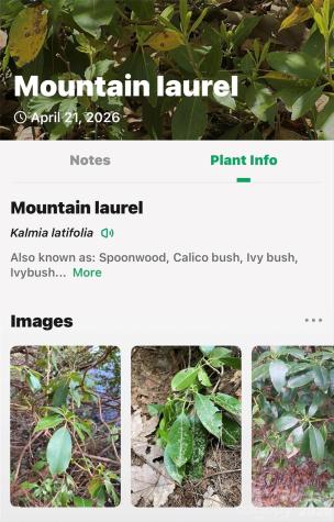 7 Gateway Parkway Old Fort NC 28762