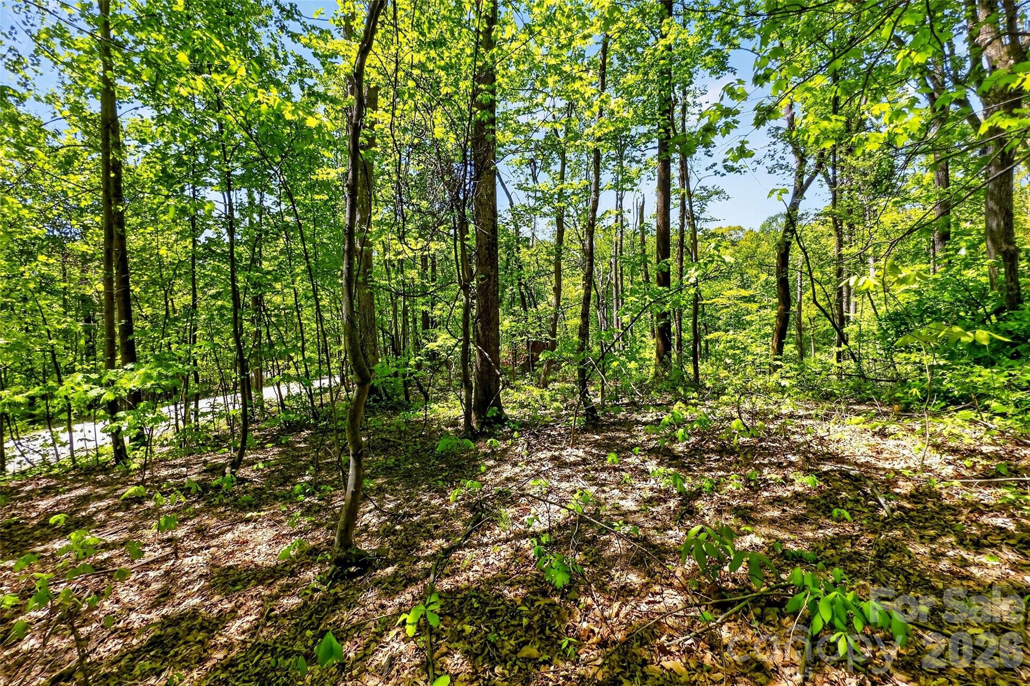 7 Gateway Parkway Old Fort NC 28762