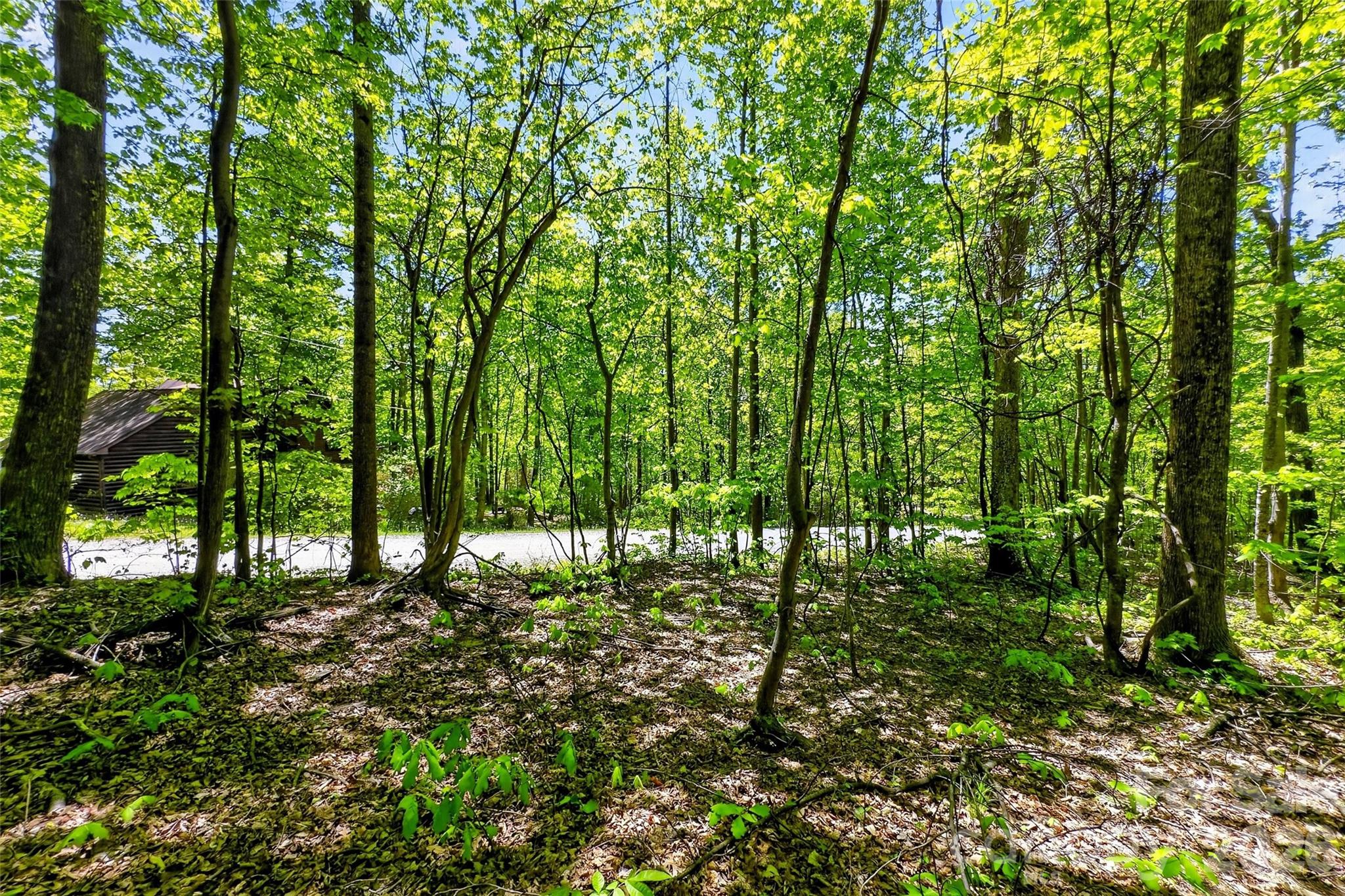 7 Gateway Parkway Old Fort NC 28762