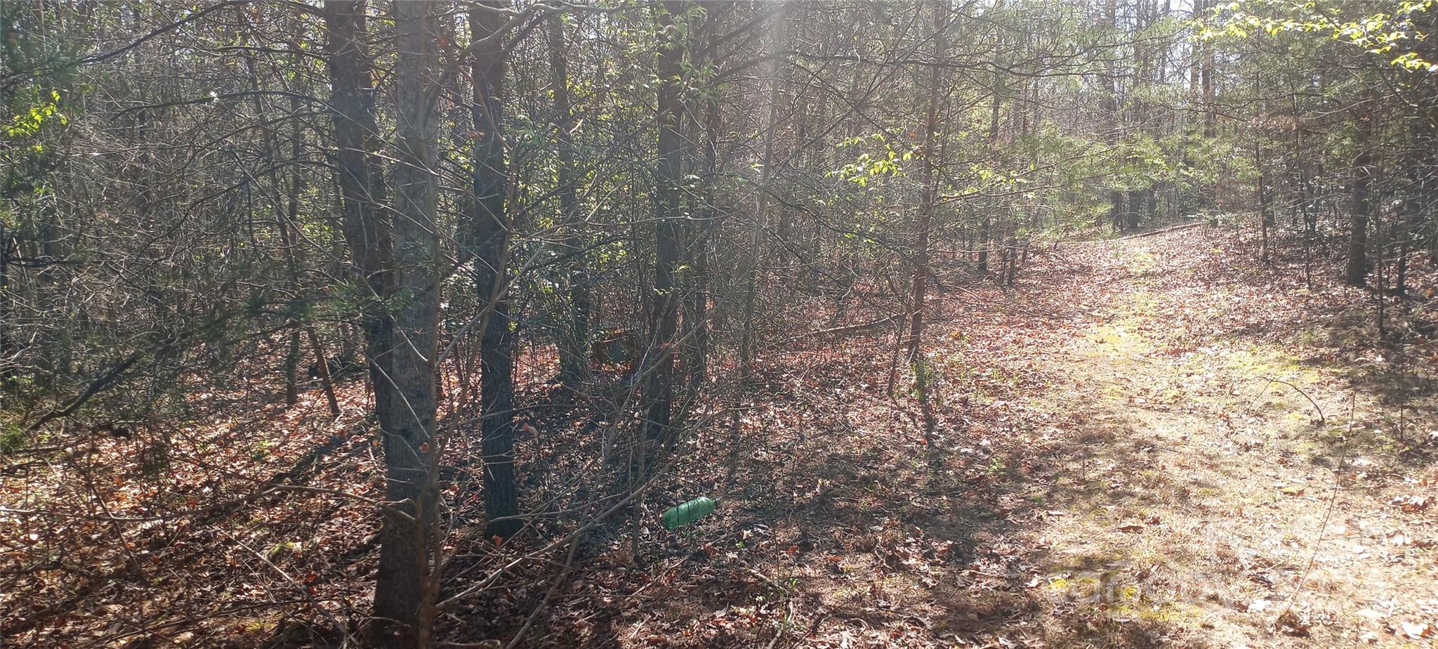 Lot 6 Lane Street Morganton NC 28655