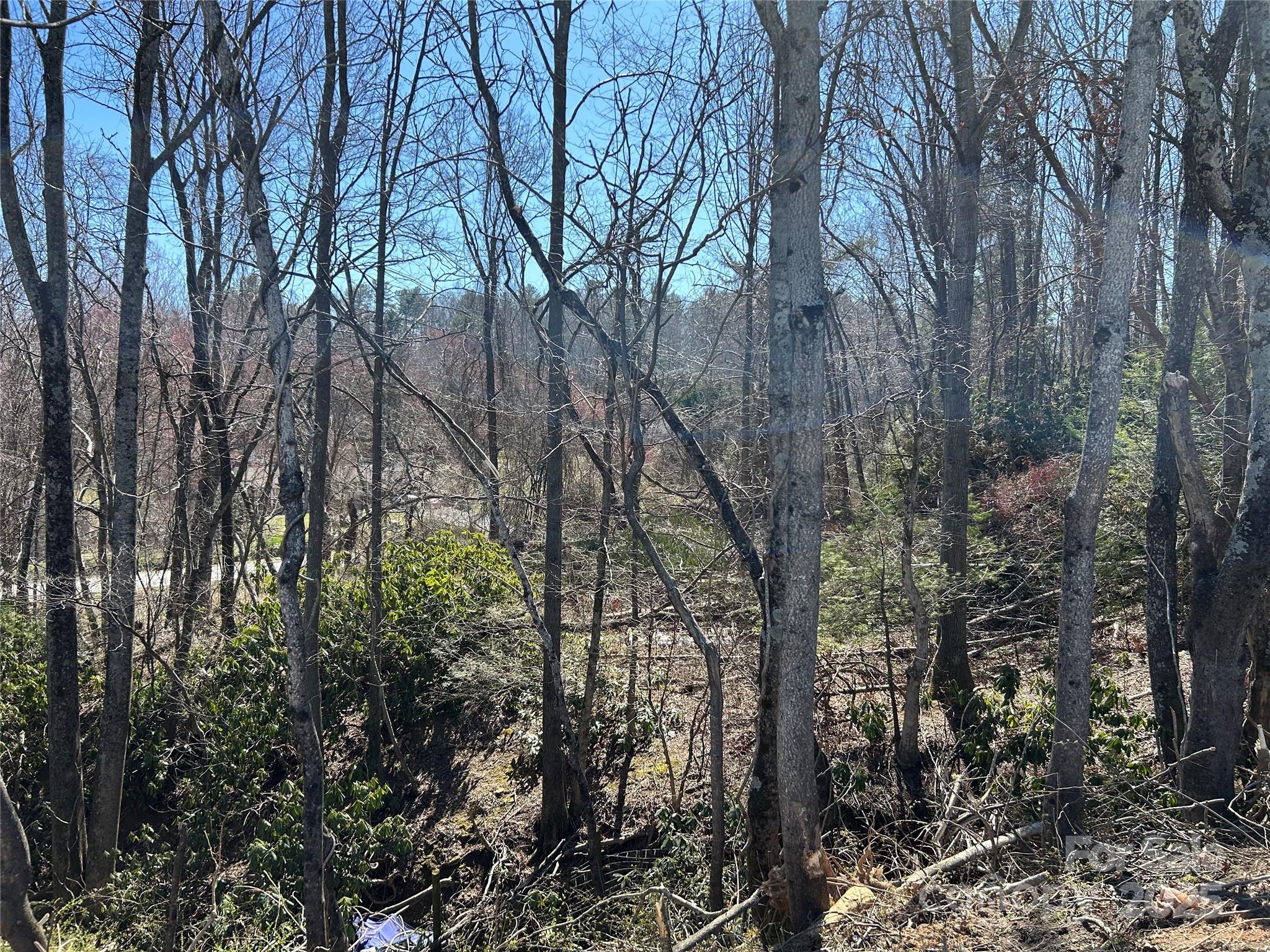 0 Us 64 Highway Hendersonville NC 28792
