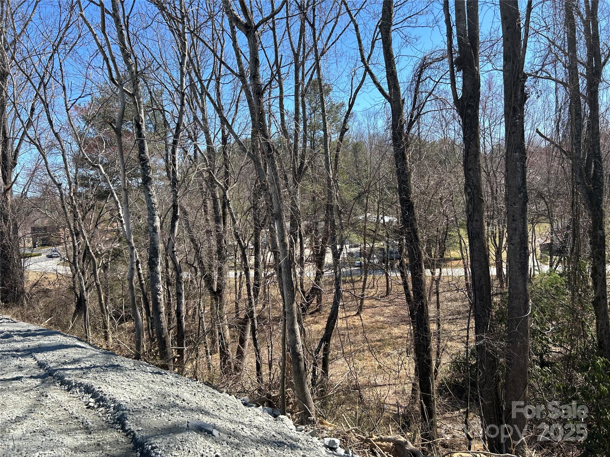 0 Us 64 Highway Hendersonville NC 28792