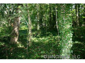 175 Morningside Drive Asheville NC 28806