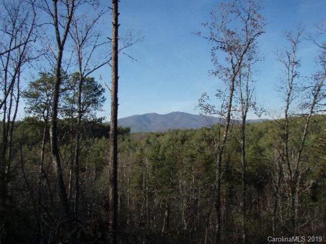 47 Osprey Roost Drive Nebo NC 28761