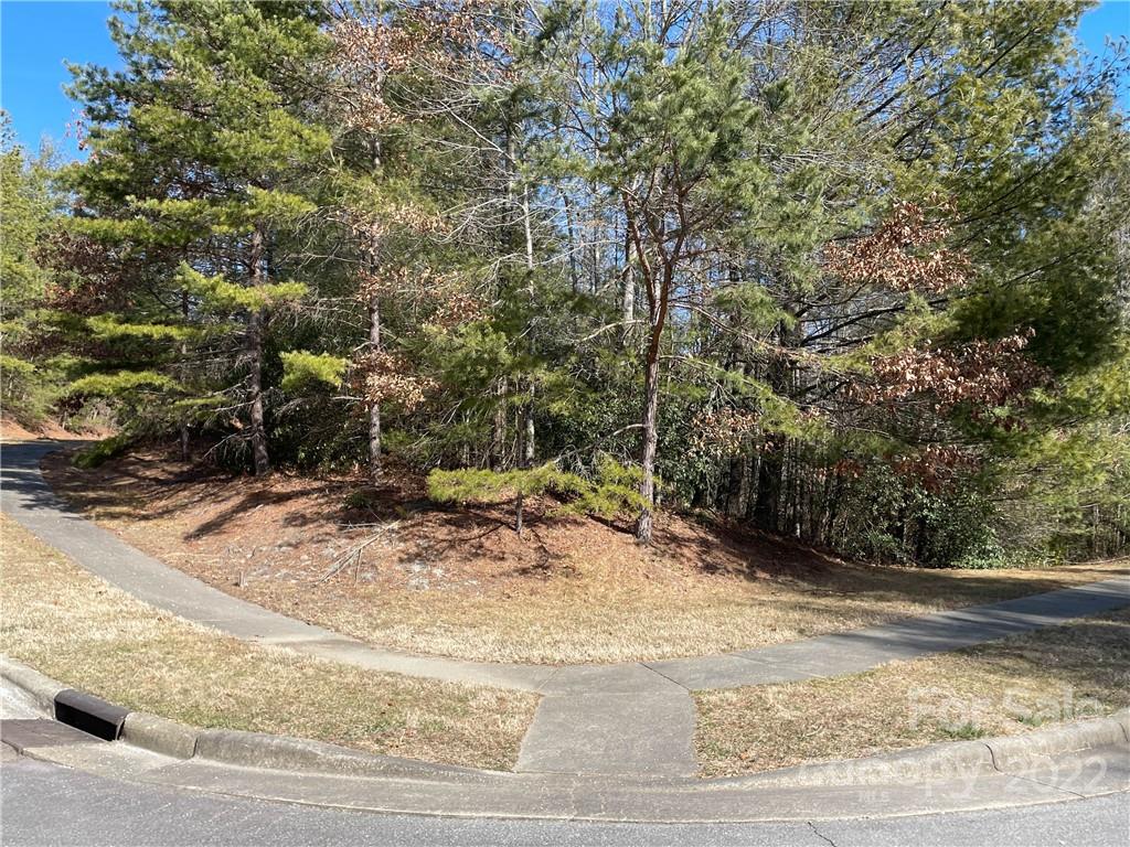 V30 Blueberry Hill Road Brevard NC 28712