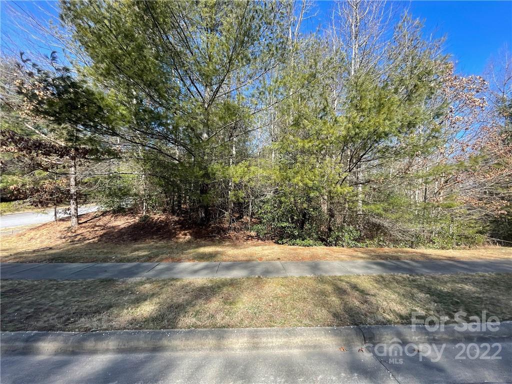 V30 Blueberry Hill Road Brevard NC 28712