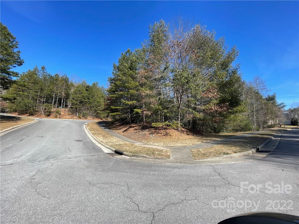 V30 Blueberry Hill Road Brevard NC 28712