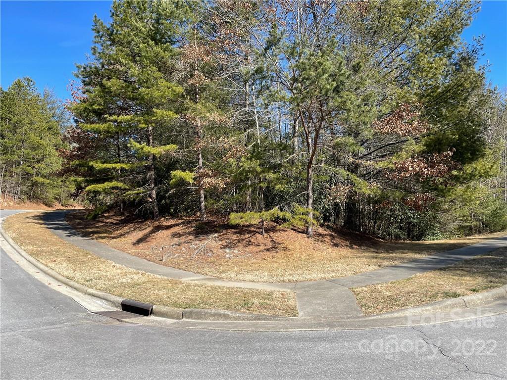 V30 Blueberry Hill Road Brevard NC 28712