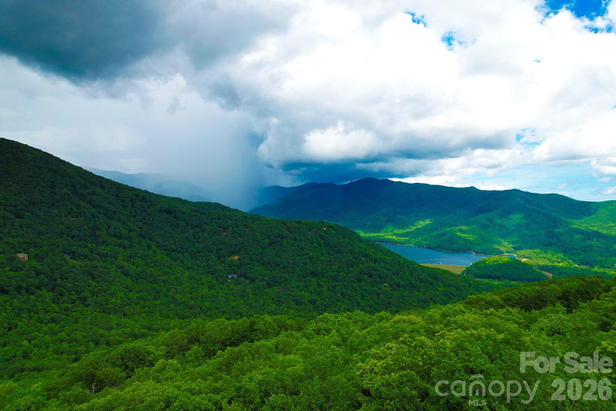 4 White Birch Court Black Mountain NC 28711